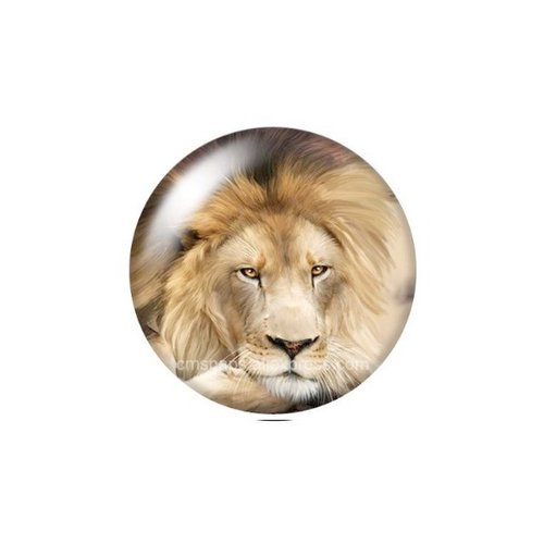 1 cabochon rond en verre fabrication bijoux décoration 25 mm lion