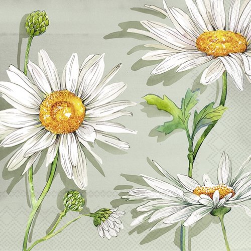 2 serviettes en papier 33 x 33 cm découpage collage fleur margeurite blanche fl 309