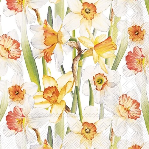 2 serviettes en papier 33 x 33 cm découpage collage fleur jonquille fl 330