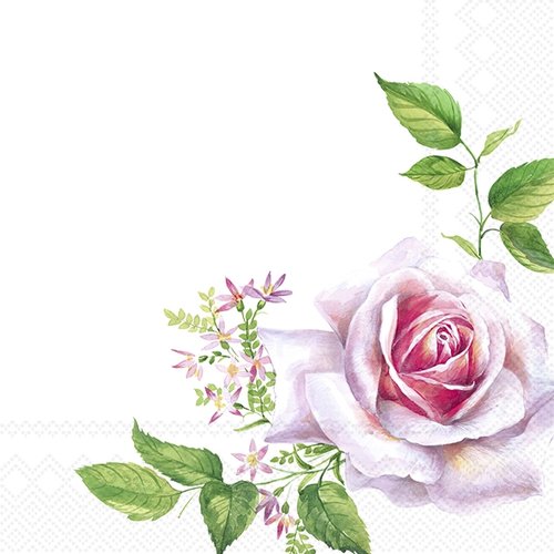 2 serviettes en papier 33 x 33 cm découpage collage fleur rose rosier fl 400