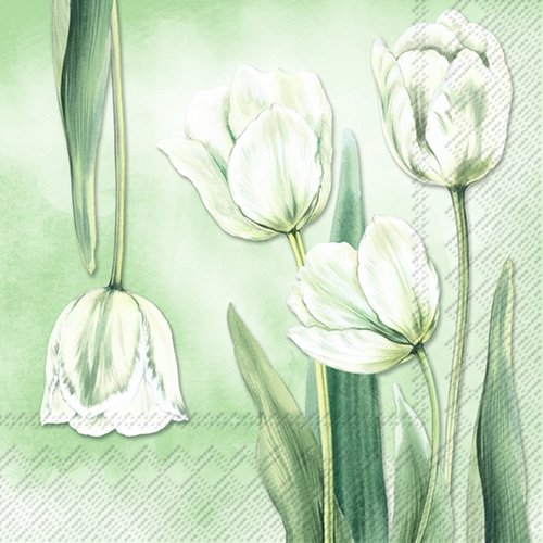 2 serviettes en papier 33 x 33 cm découpage collage fleur tulipe fond vert fl 405