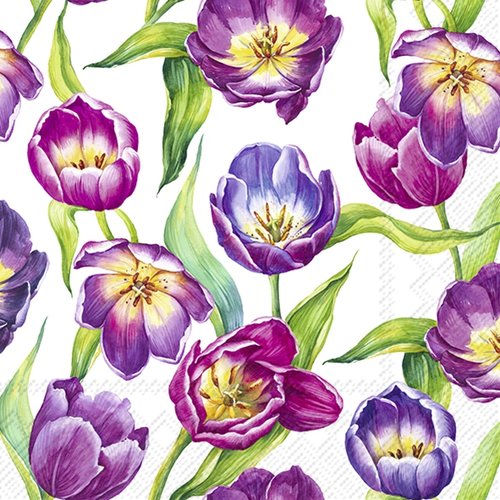 2 serviettes en papier 33 x 33 cm découpage collage fleur tulipe fond blanc fl 512