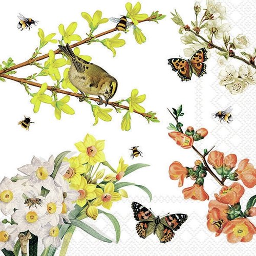 2 serviettes en papier 33 x 33 cm découpage collage oiseau sur branche de fleurs o 105 xl