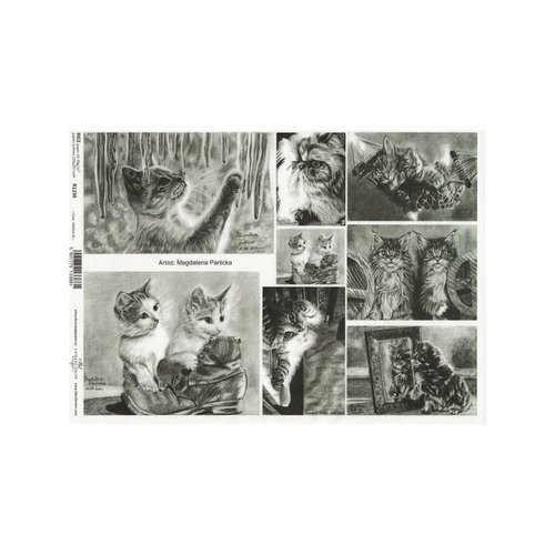 1 feuille de papier de riz 29,7 x 21 cm découpage collage chat chaton noir blanc 1236