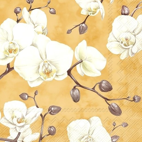 2 serviettes en papier 33 x 33 cm découpage collage fleur orchidee blanche fl 103 eb