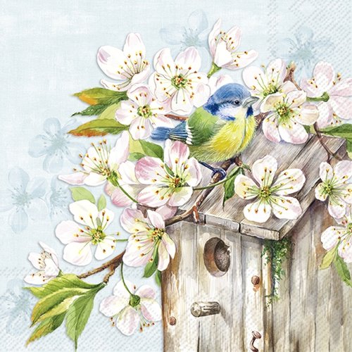 2 serviettes en papier 33 x 33 cm découpage collage oiseau nichoir fleur rose 209