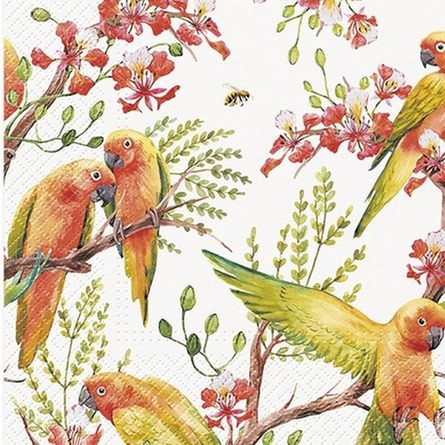 2 serviettes en papier 33 x 33 cm découpage collage oiseau peruche 201