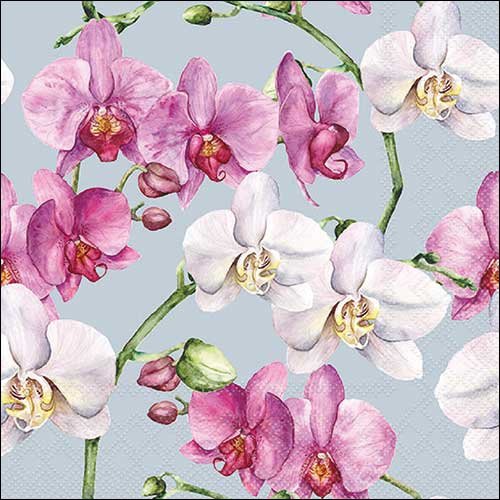 2 serviettes en papier 33 x 33 cm découpage collage fleur orchidee fond bleu f 829