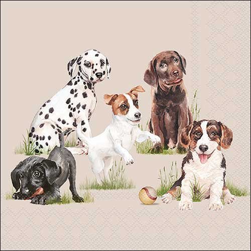 2 serviettes en papier 33 x 33 cm découpage collage chiens a 614