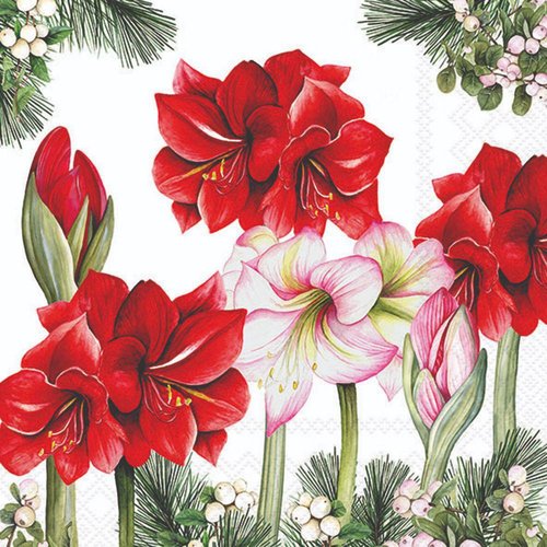 2 serviettes en papier 33 x 33 cm découpage collage amaryllis de noel n 701