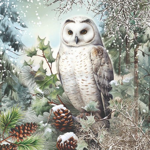 2 serviettes en papier 33 x 33 cm découpage collage oiseau chouette o 410