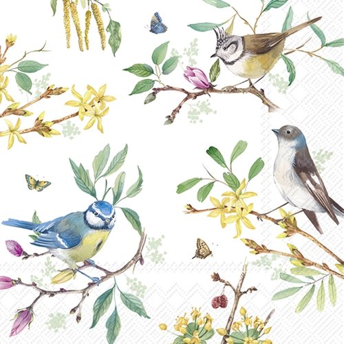 2 serviettes en papier 33 x 33 cm découpage collage oiseau branche de fleurs o 404