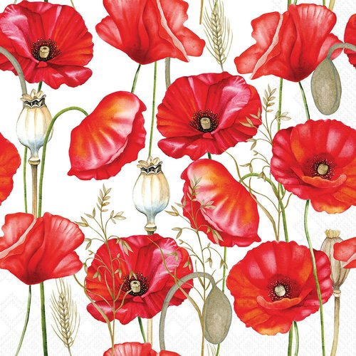 2 serviettes en papier 33 x 33 cm découpage collage fleur coquelicot fond blanc f 4004