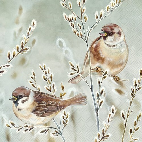 2 serviettes en papier 33 x 33 cm découpage collage oiseaux en hiver