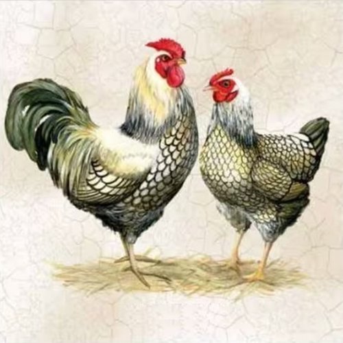 2 serviettes en papier 33 x 33 cm découpage collage coupe coq poule ass 208