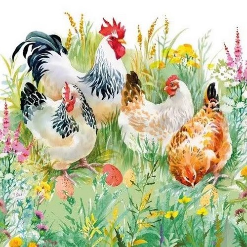 2 serviettes en papier 33 x 33 cm découpage collage poules jardin fleur oeuf ass 104