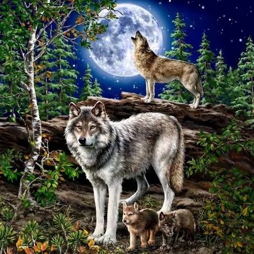 2 serviettes en papier 33 x 33 cm découpage collage loup foret nuit lune ass 203