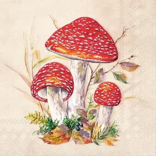 2 serviettes en papier 33 x 33 cm découpage collage nature champignon nss 103
