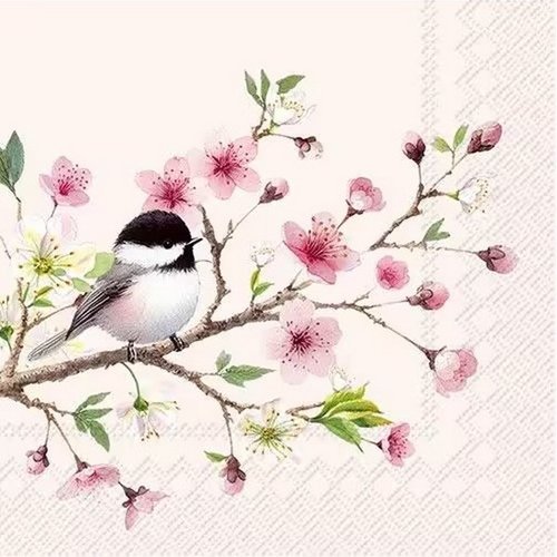 2 serviettes en papier 33 x 33 cm découpage collage petit oiseau branche fleur rose oss 101
