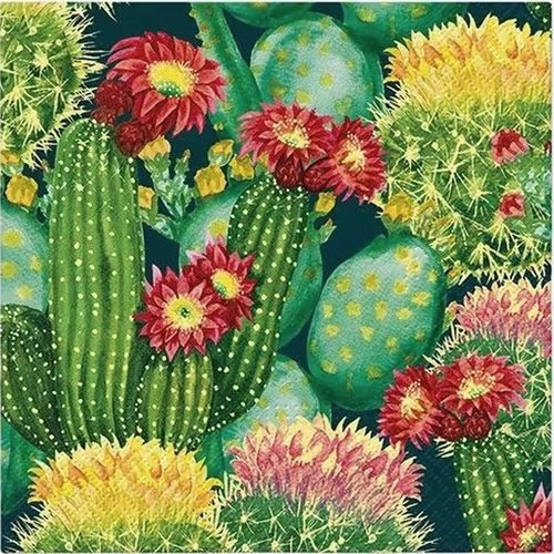 2 serviettes en papier 33 x 33 cm découpage collage nature cactus nss 108