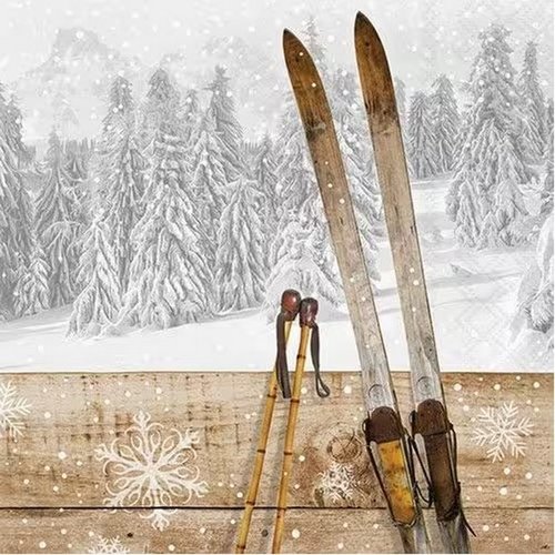 2 serviettes en papier 33 x 33 cm découpage collage retro ski montagne dss 110