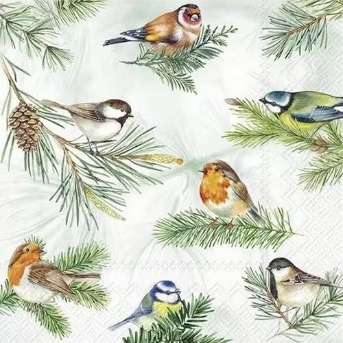 2 serviettes en papier 33 x 33 cm découpage collage noel oiseau noss 110