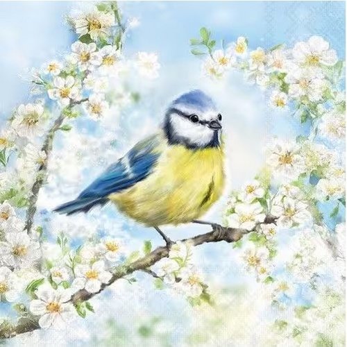 2 serviettes en papier 33 x 33 cm découpage collage oiseau branche fleur blanche oss 100