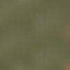 Popeline de coton motif oiseaux exotiques sur fond vert olive