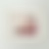 Cognassier du japon - impression d'art 30x30cm - signé et numéroté