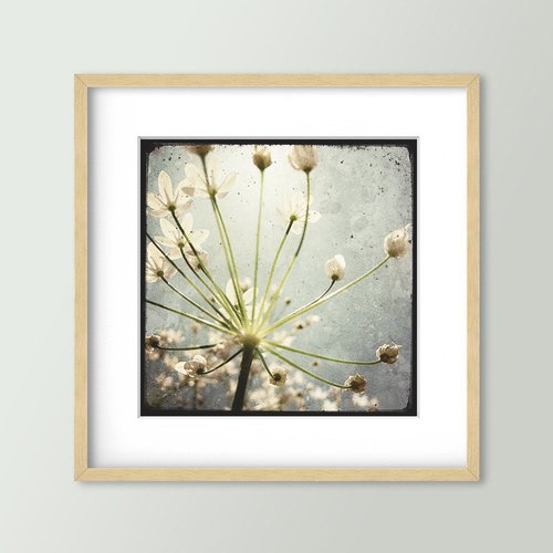 Vers la lumière - impression d'art 30x30cm - signé et numéroté