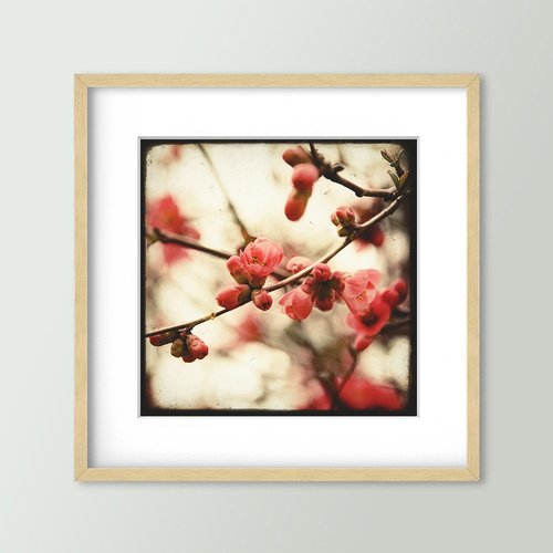 Eclosion rouge - impression d'art 30x30cm - signé et numéroté