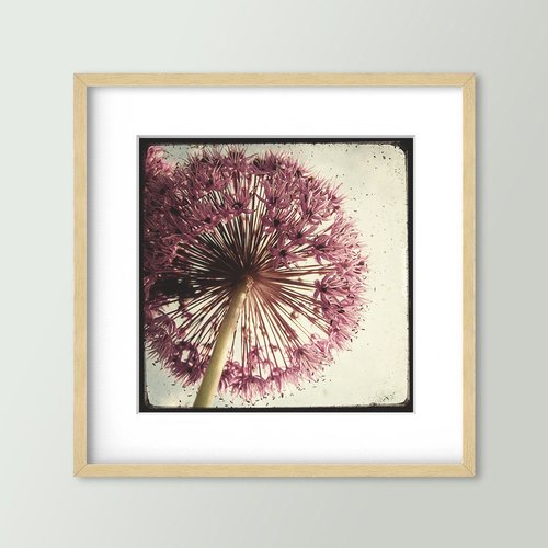 Explosion florale - impression d'art 30x30cm - signé et numéroté