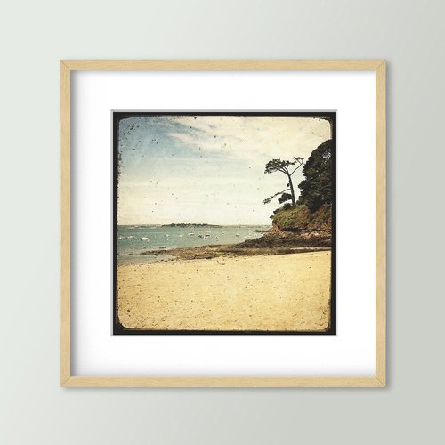 L'arbre sur la plage - saint-briac - impression d'art 30x30cm - signé et numéroté