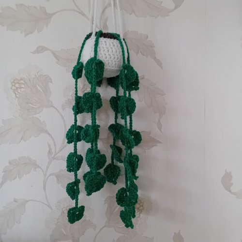 Suspension plante verte au crochet