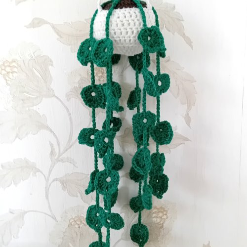 Suspension plante verte au crochet