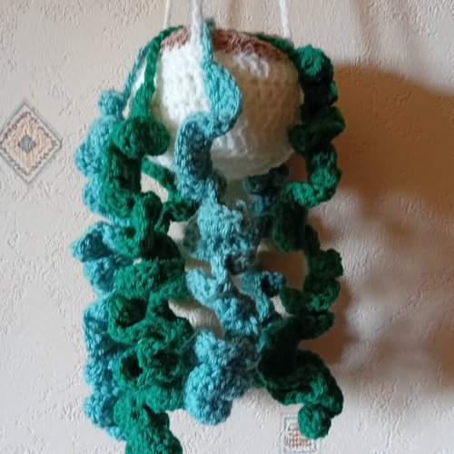 Suspension plante verte au crochet