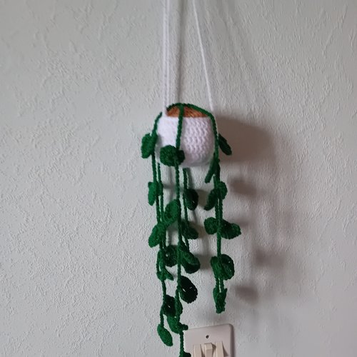 Suspension plante verte au crochet