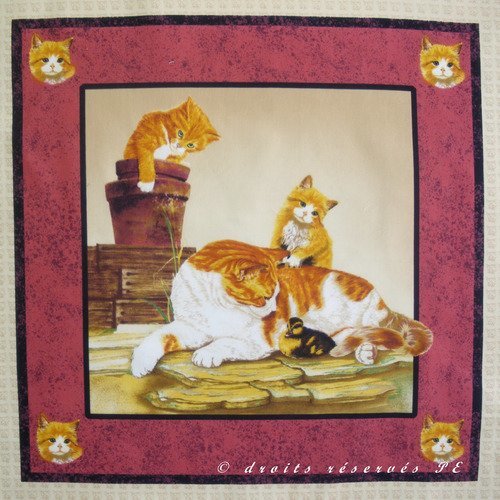 Coupon tissu appliqué patchwork panneau vignette  chatte , chatons roux et canard n° 2