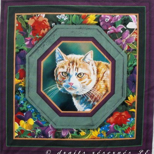 Coupon tissu patchwork panneau portrait de chat dans hexagone n° 3