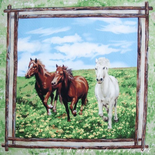 Coupon tissu patchwork vignette panneau  3 chevaux au galop