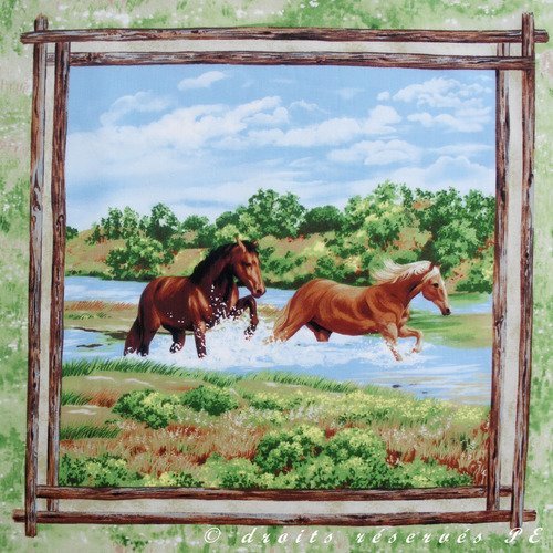 Coupon tissu patchwork vignette panneau  2 chevaux dans la riviere