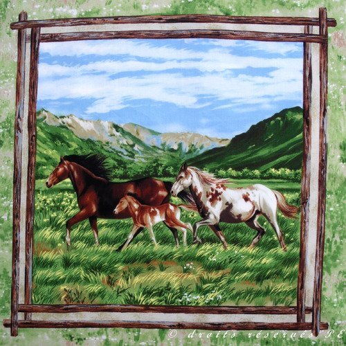 Coupon tissu patchwork vignette panneau  famille chevaux au galop