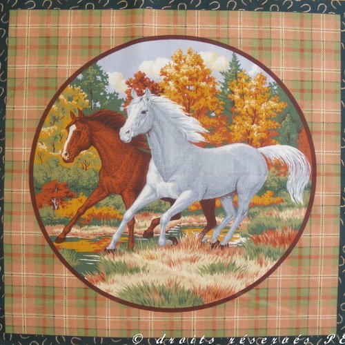 Coupon tissu patchwork vignette panneau  2 chevaux au galop (cercle) n° 1