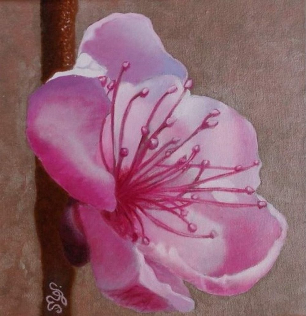 Fleur du pêcher, peinture florale acrylique rose et taupe - Un grand marché