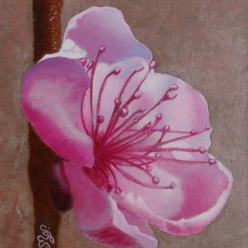 Fleur du pêcher, peinture florale acrylique rose et taupe