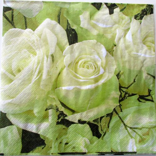 3  serviettes en papier décor univers fleuri - 33 x 33 cm 3 plis