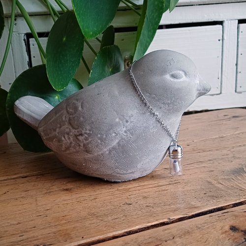 Oiseau, collier message, prière, personnalisable, taille l