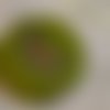 Gros bouton tissu  40mm " arabesque sur velours cotelé vert "