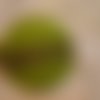 Bouton tissu  32mm " vert/galon dentelé olive à pois blancs "