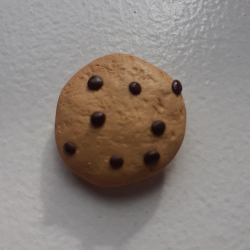 Magnet cookie